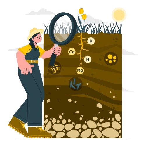 Soil Map